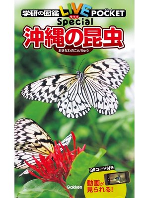 cover image of 沖縄の昆虫